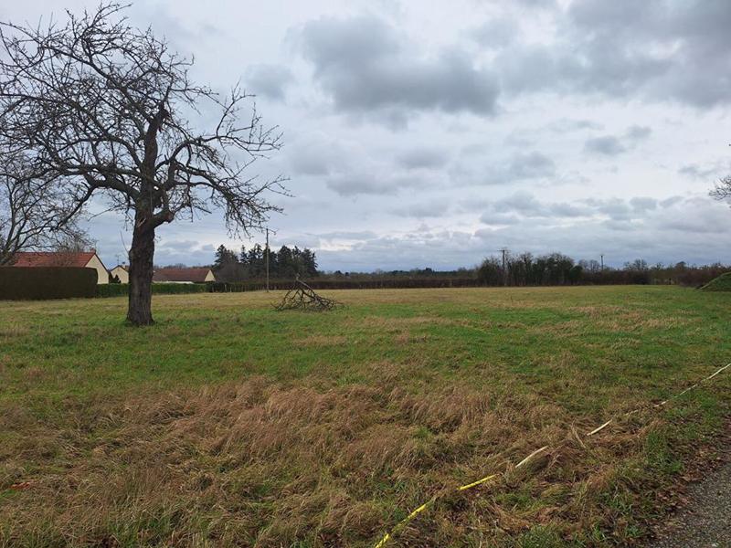 Terrain constructible - 7 800 m²