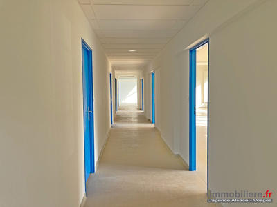 Bureau - 300 m² - 4 pièces