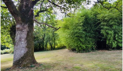 Manoir - 300 m² - 11 pièces