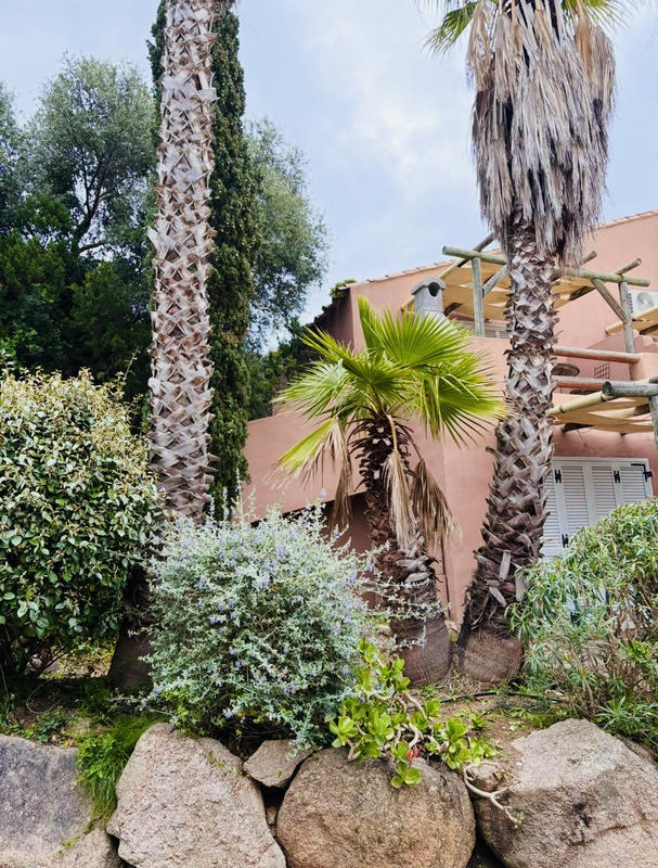 Appartement - 17 m² - 1 pièce