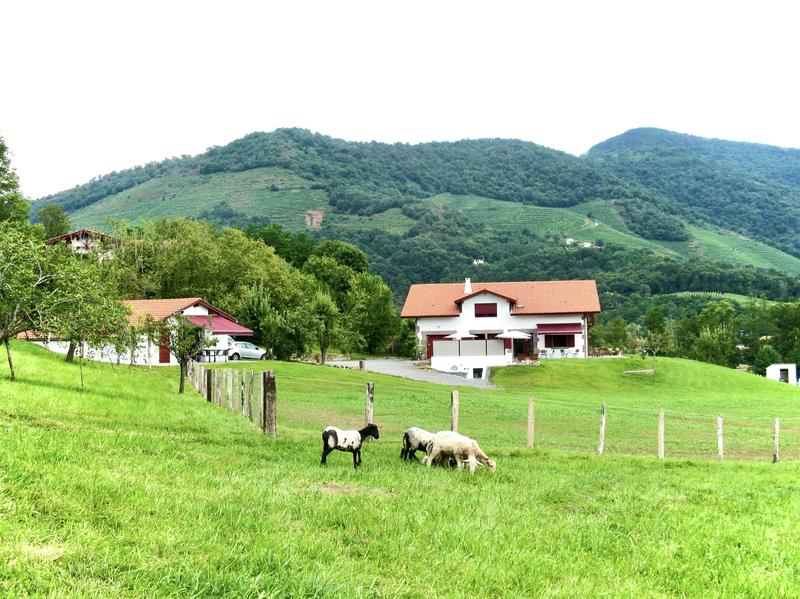 Villa - 377 m² - 11 pièces