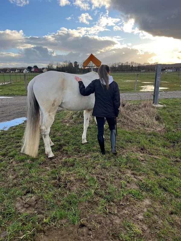 Activité : équithérapie