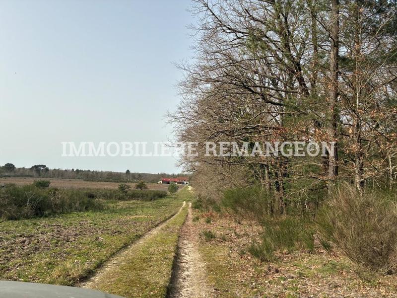 Demeure - 230 m² - 6 pièces