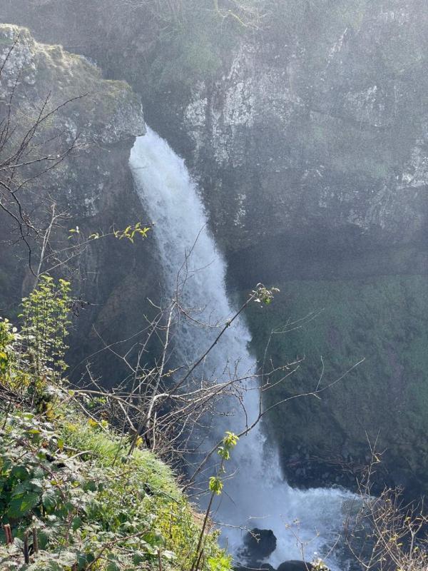 Maison ancienne - 231 m² - 7 pièces