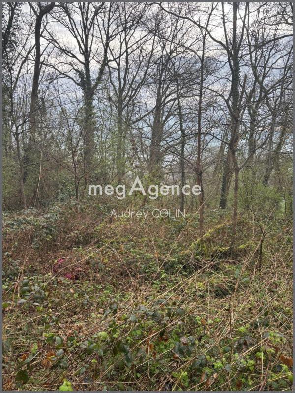 Terrain de loisirs - 1 390 m²