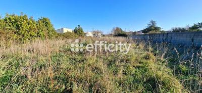 Terrain - 1 194 m²