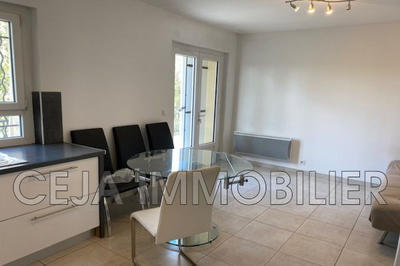 Appartement - 45 m² - 2 pièces