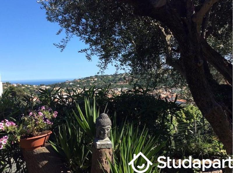 Chambre - 9 m² - 1 pièce