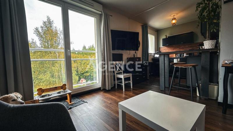 Studio - 36 m² - 1 pièce