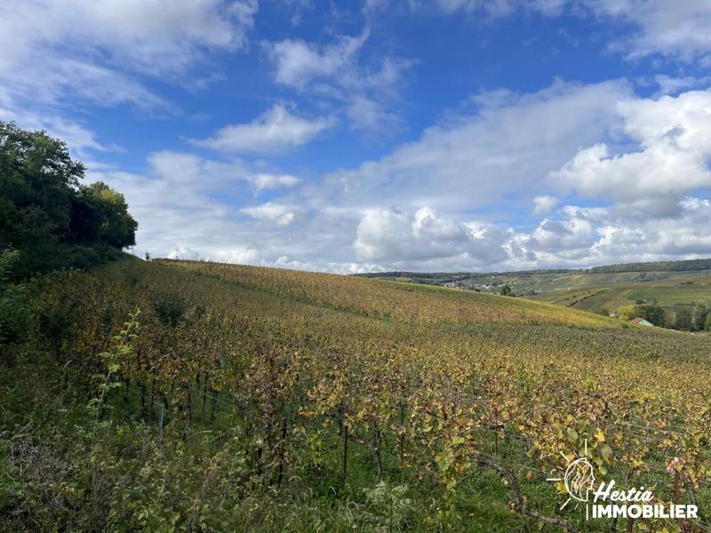 Propriété - 185 m² - 7 pièces