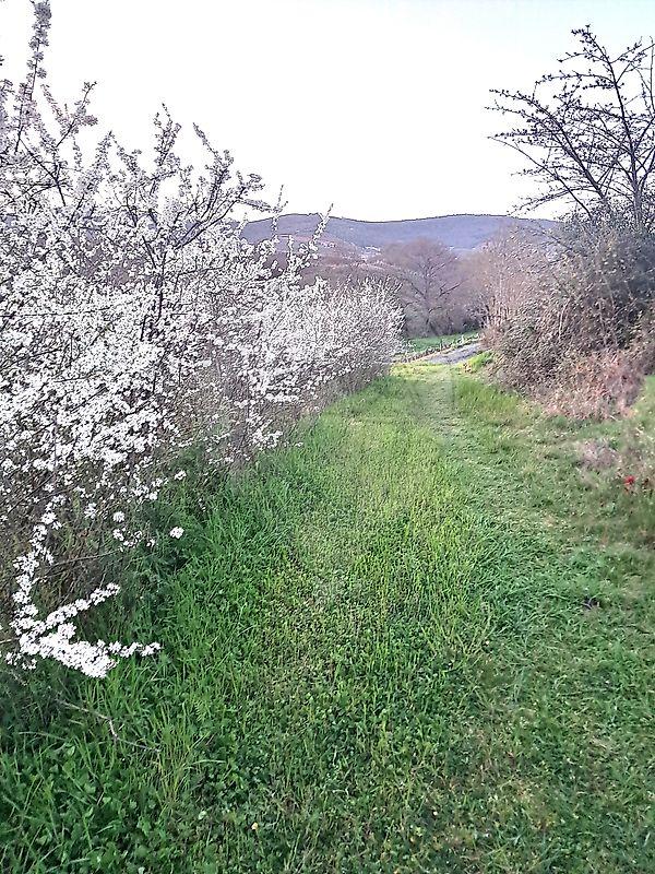 Maison - 160 m² - 10 pièces