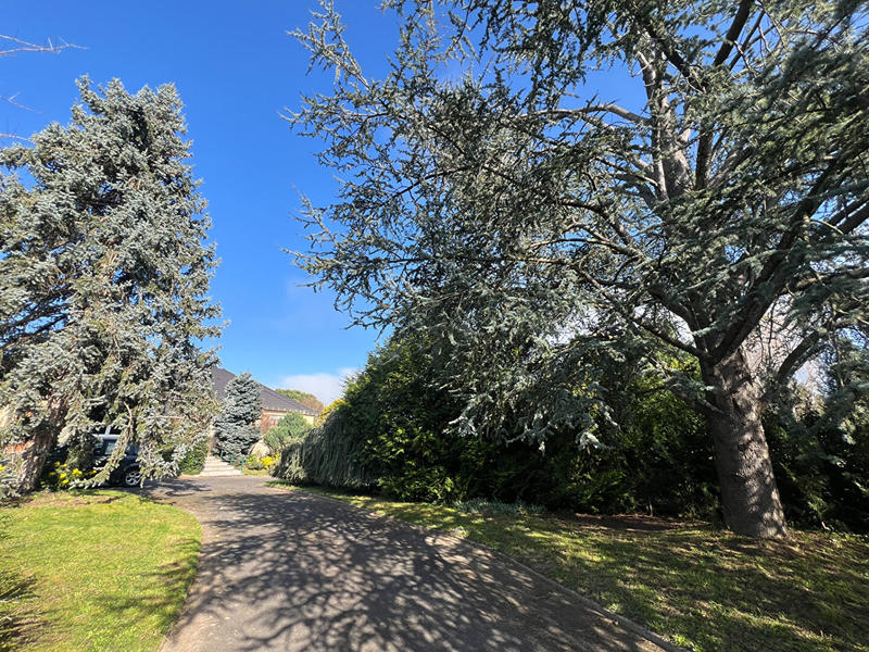 Maison - 232 m² - 7 pièces