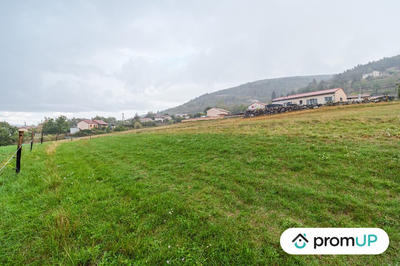Terrain - 8 469 m²