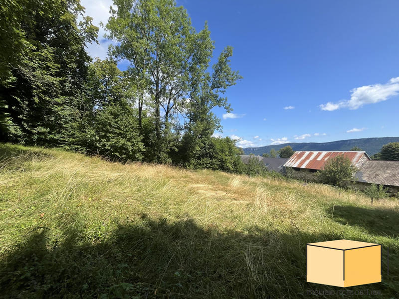 Maison ancienne - 220 m² - 9 pièces