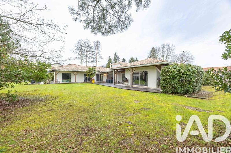 Maison de maîtres - 230 m² - 7 pièces