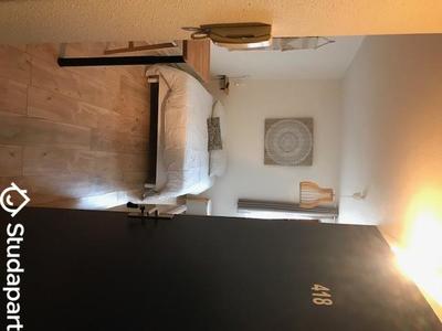 Appartement - 17 m² - 1 pièce