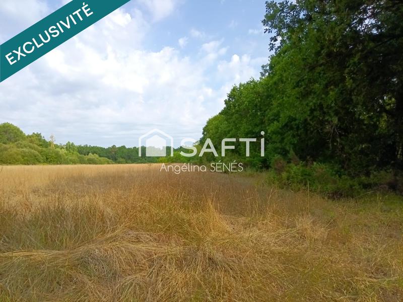 Terrain agricole - 60 000 m²