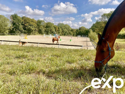 Maison - 395 m² - 14 pièces