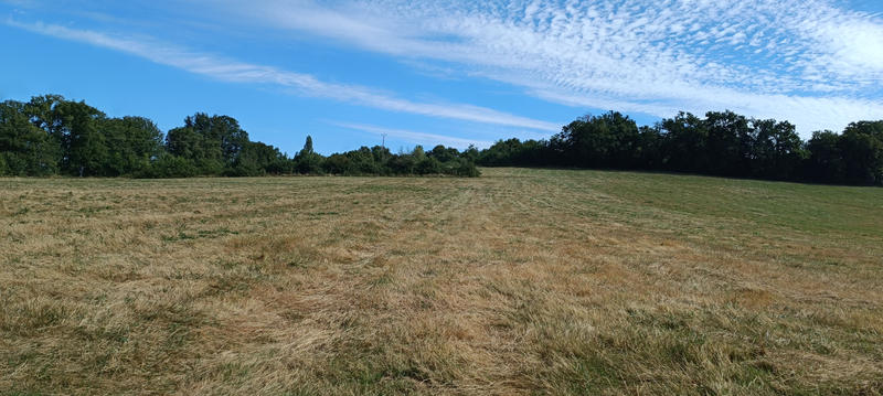 Terrain agricole - 71 519 m²