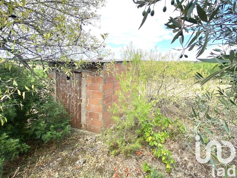 Terrain agricole - 52 610 m²