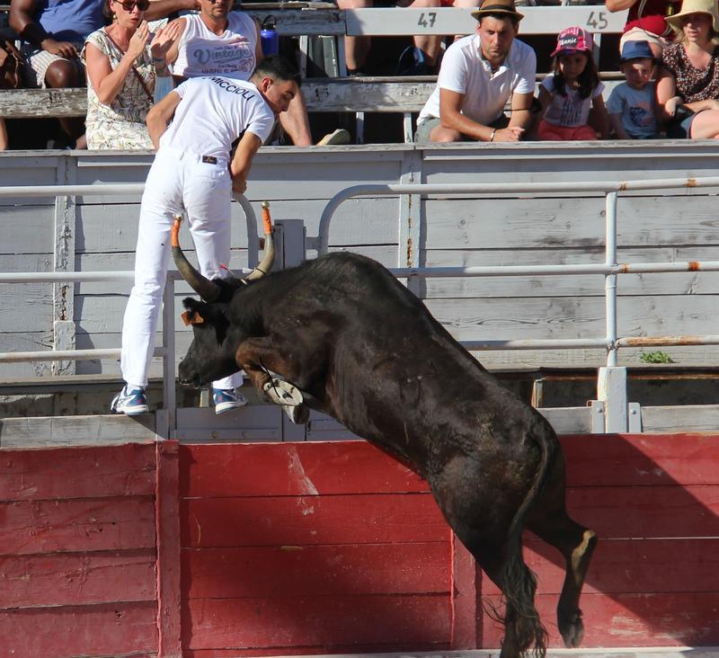Féria de Pâques - Course Camarguaise