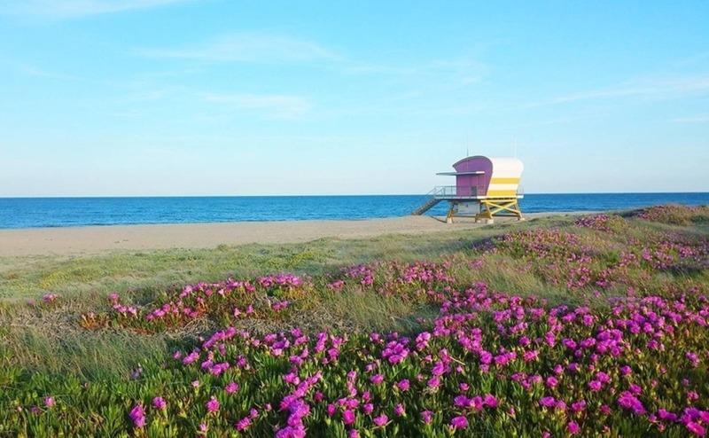 Fonds de commerce - 231 m²