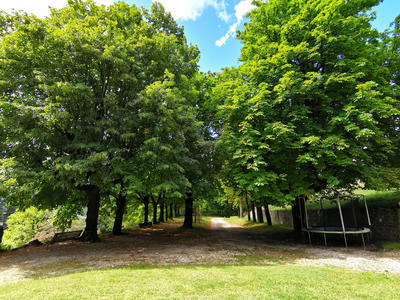 Propriété - 658 m² - 19 pièces