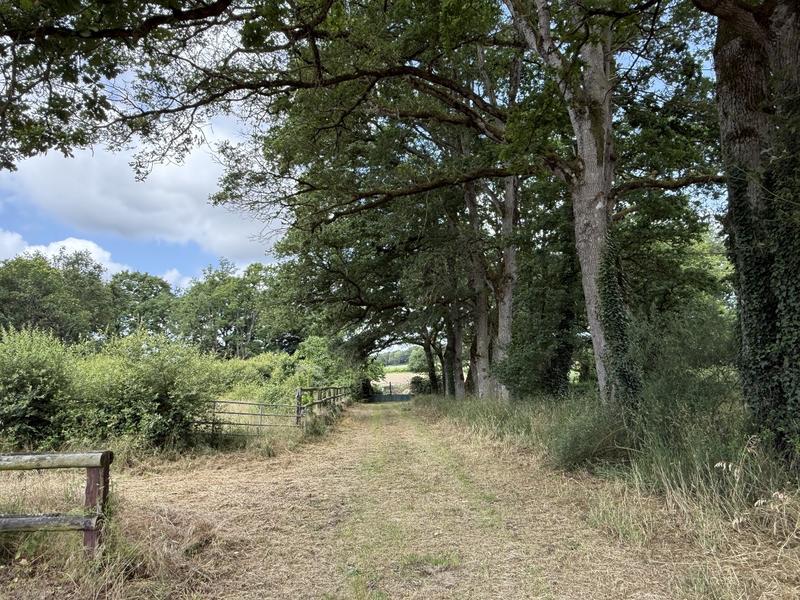 Manoir - 483 m² - 14 pièces