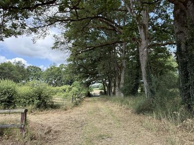 Manoir - 483 m² - 14 pièces