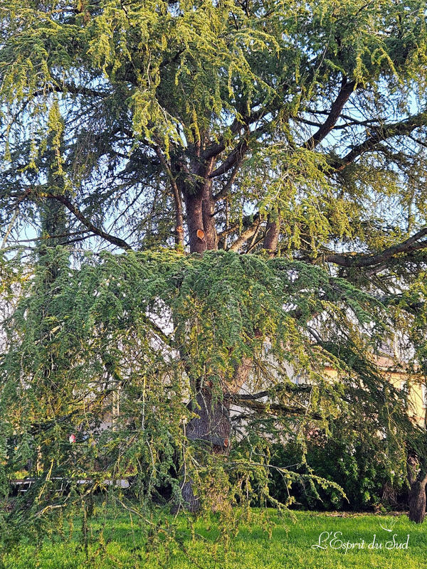 Maison - 184 m² - 8 pièces