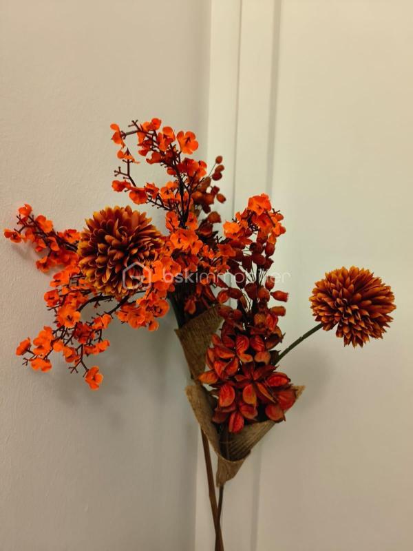 Maison - 77 m² - 4 pièces