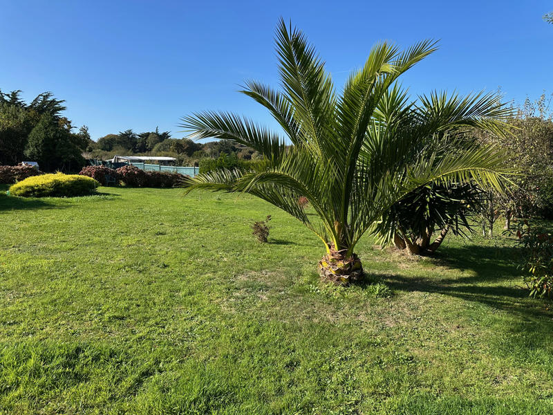 Maison - 156 m² - 7 pièces