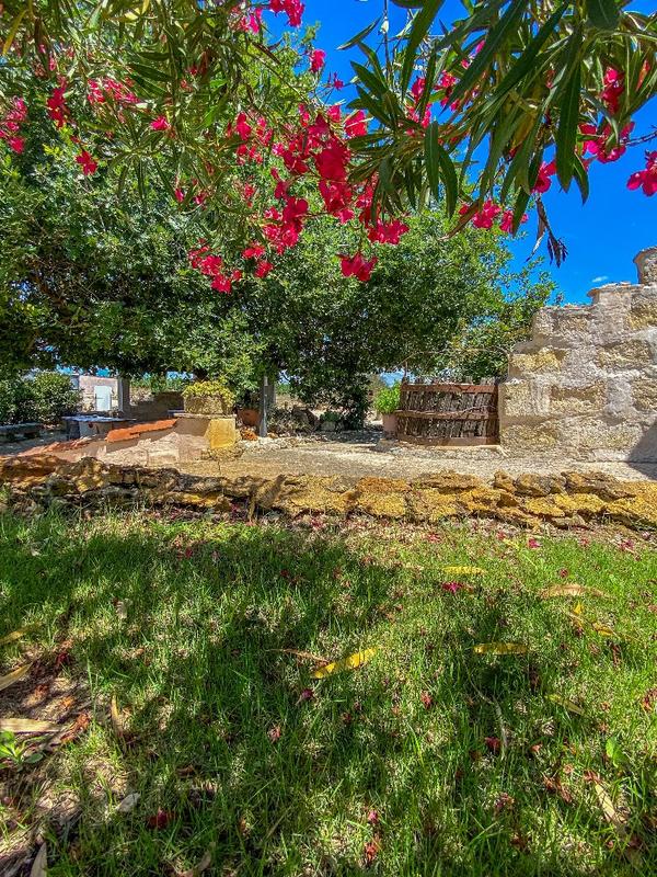 Propriété viticole - 230 m² - 7 pièces