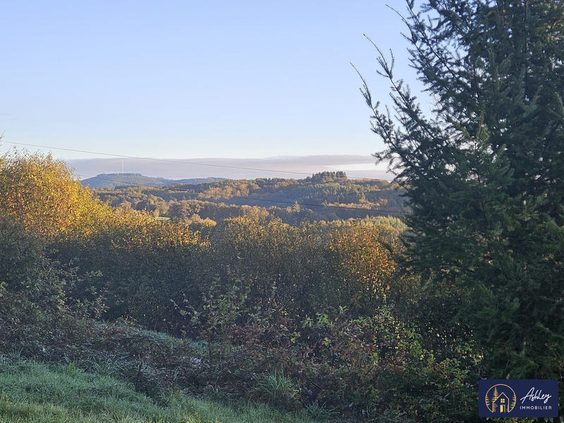 Maison ancienne - 306 m² - 2 pièces