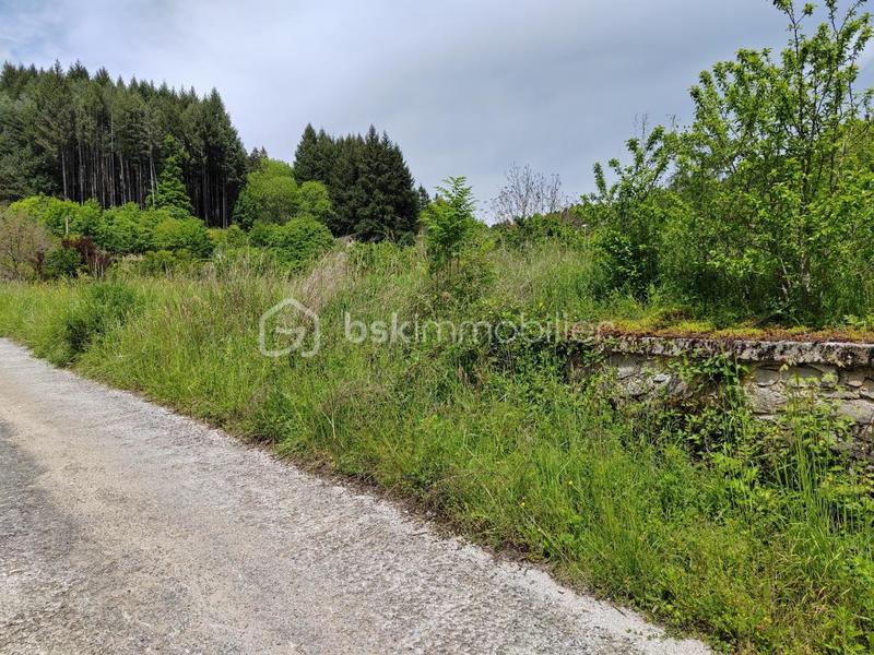 Terrain industriel - 2 870 m²