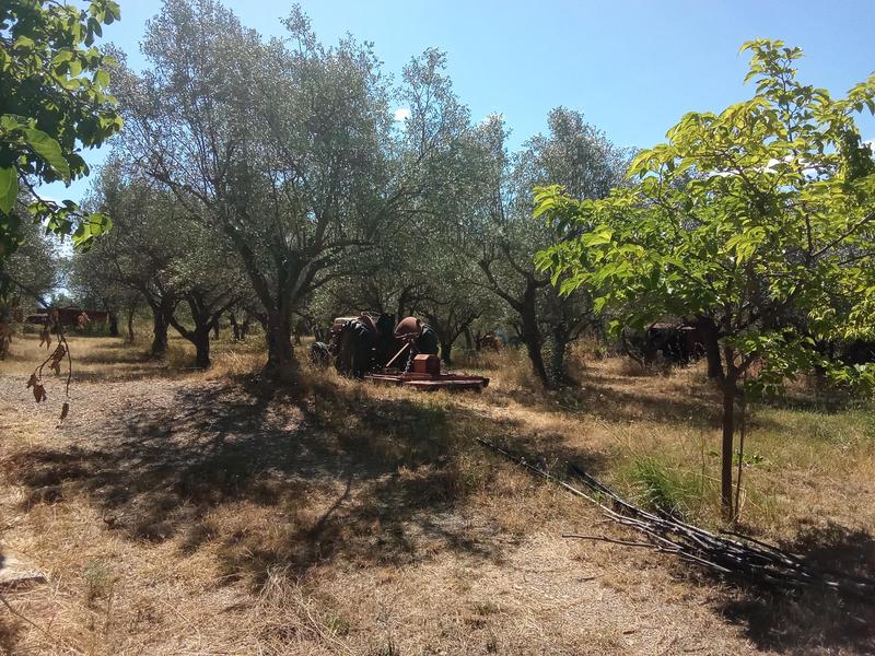 Bastide - 149 m² - 5 pièces