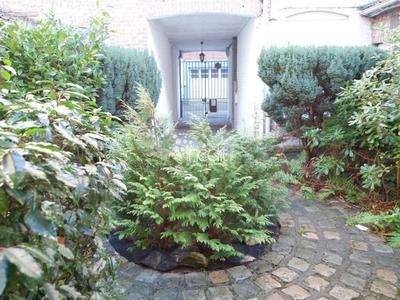 Studio - 22 m² - 2 pièces