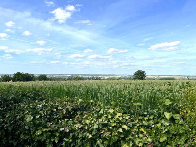 Maison ancienne - 266 m² - 9 pièces