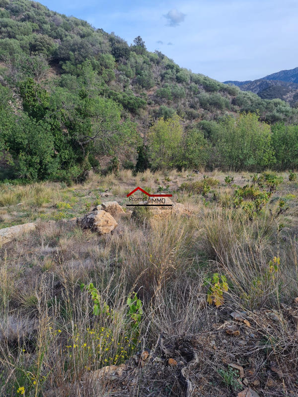 Terrain agricole - 10 225 m²