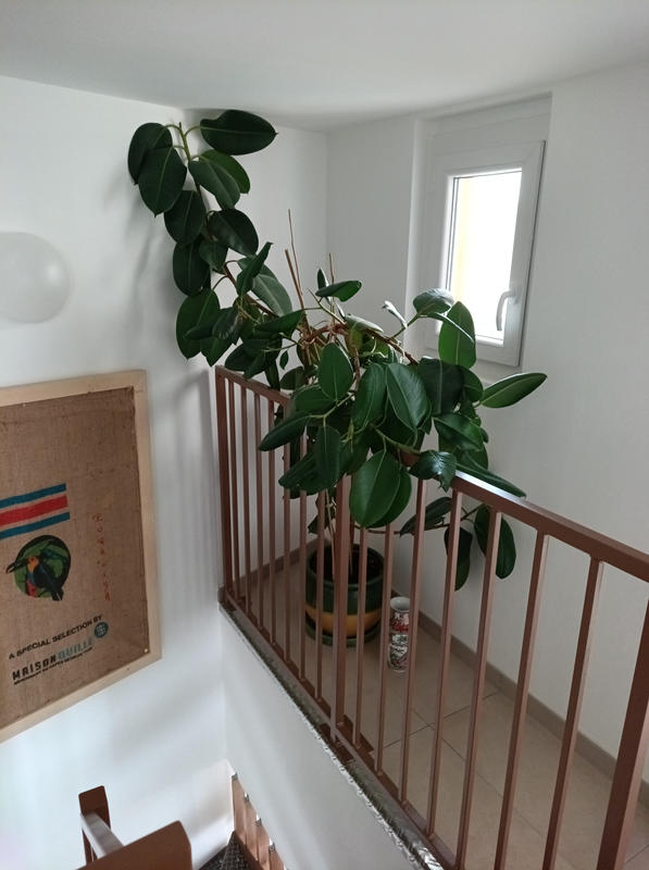 Maison - 71 m² - 3 pièces