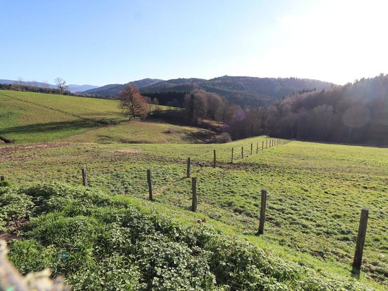 Corps de ferme - 350 m² - 6 pièces