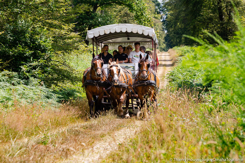 Promenons-nous dans les bois, au rythme des chevaux