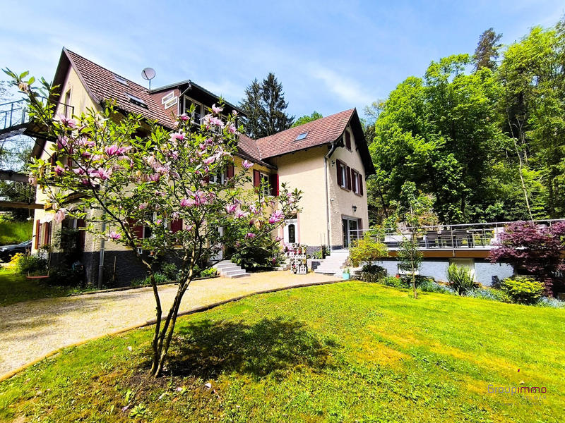 Maison - 333 m² - 12 pièces