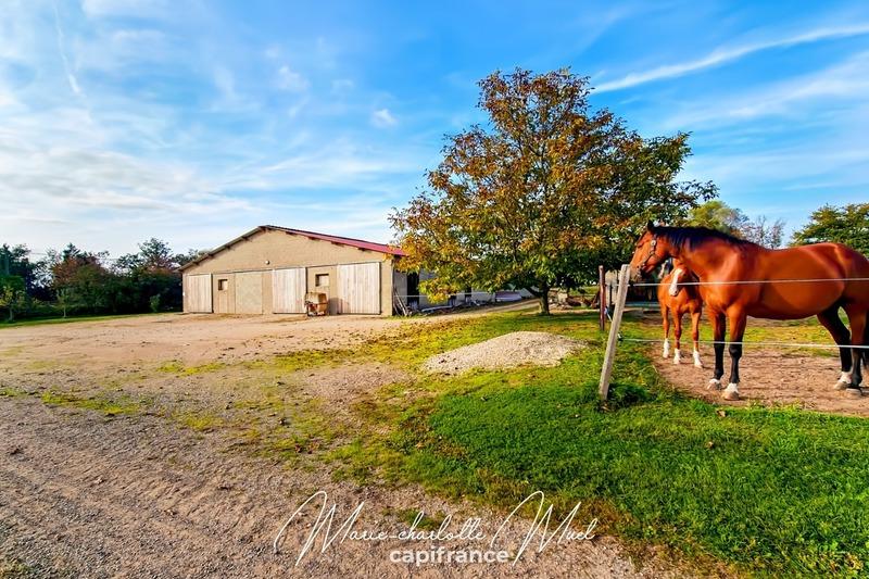 Propriété - 224 m² - 8 pièces