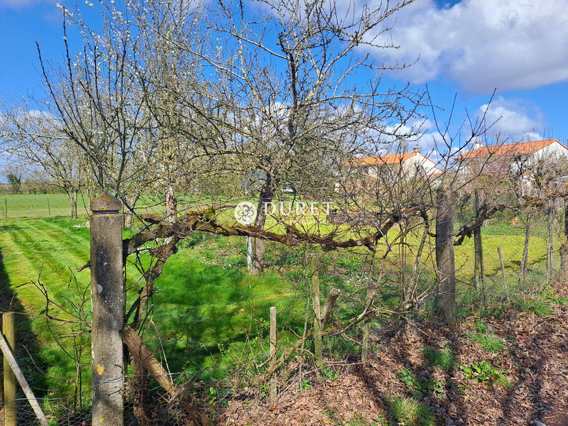 Maison ancienne - 59 m² - 3 pièces