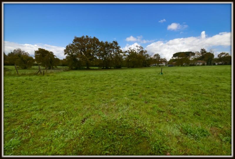 Terrain constructible - 943 m²