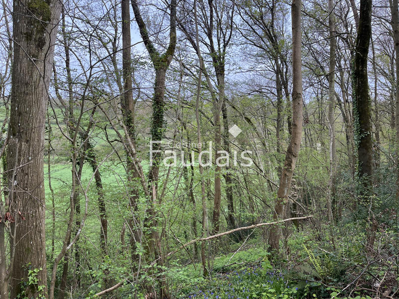 Terrain de loisirs - 3 747 m²