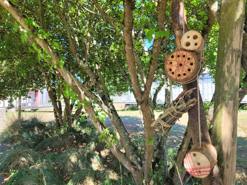 Atelier "Un hôtel pour les insectes 3-6 ans "