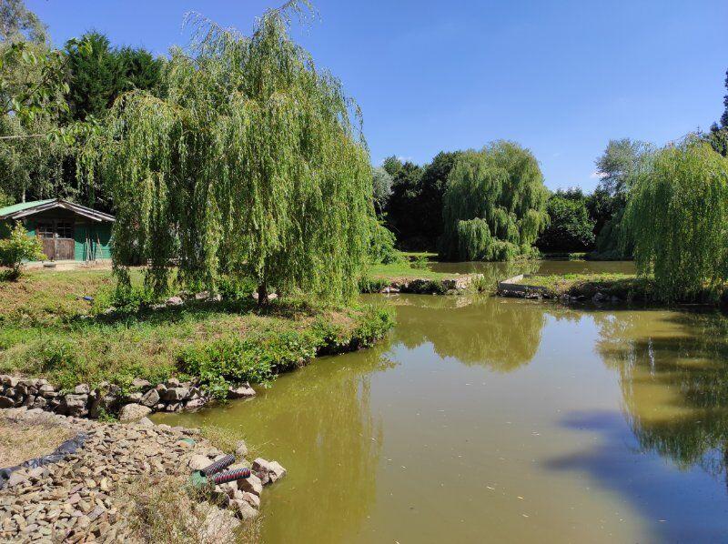 Maison - 232 m² - 8 pièces