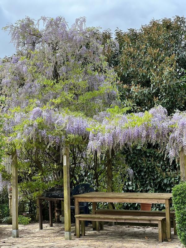 Pavillon - 180 m² - 7 pièces